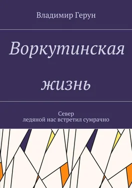 Владимир Герун Воркутинская жизнь. Север ледяной нас встретил сумрачно обложка книги