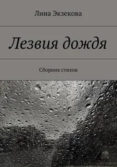 Лина Экзекова - Лезвия дождя. Сборник стихов