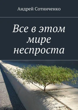 Андрей Cотниченко Все в этом мире неспроста обложка книги