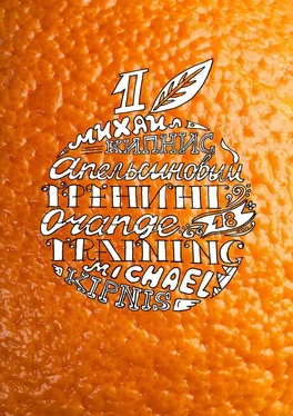 Михаил Кипнис Апельсиновый тренинг 18. Игры и упражнения на знакомство обложка книги