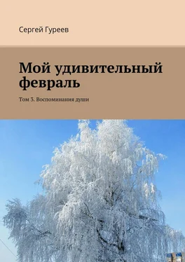 Сергей Гуреев Мой удивительный февраль. Том 3. Воспоминания души обложка книги