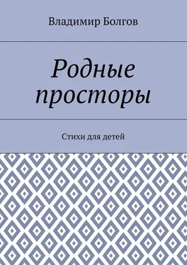 Владимир Болгов Родные просторы. Стихи для детей обложка книги