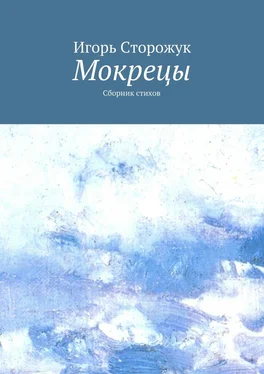 Игорь Сторожук Мокрецы. Сборник стихов обложка книги