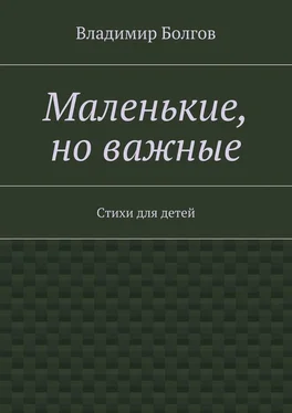 Владимир Болгов Маленькие, но важные. Стихи для детей обложка книги