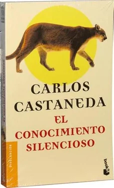 Carlos Castaneda El Conocimiento Silencioso обложка книги