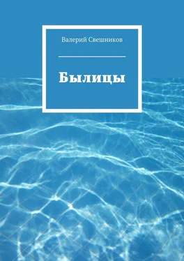 Валерий Свешников Былицы обложка книги