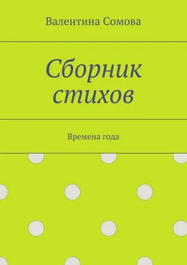 Валентина Сомова Сборник стихов. Времена года обложка книги