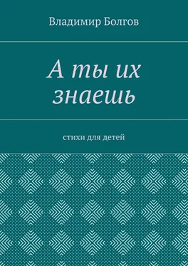 Владимир Болгов А ты их знаешь. Стихи для детей обложка книги