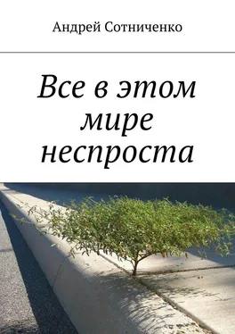 Андрей Сотниченко Все в этом мире неспроста обложка книги