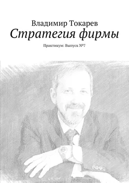 Владимир Токарев Стратегия фирмы. Практикум: Выпуск №7 обложка книги