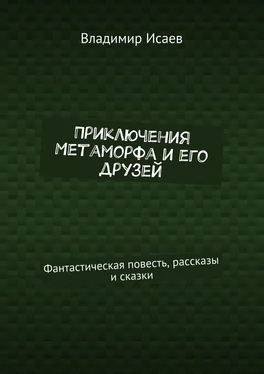 Владимир Исаев Приключения Метаморфа и его друзей. Фантастическая повесть, рассказы и сказки обложка книги