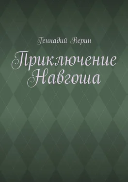 Геннадий Верин Приключение Навгоша обложка книги