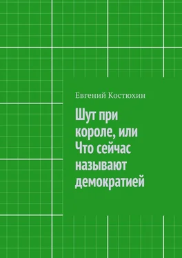 Евгений Костюхин Шут при короле, или Что сейчас называют демократией обложка книги