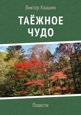 Виктор Квашин Таёжное чудо. Повести обложка книги