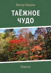 Виктор Квашин - Таёжное чудо. Повести