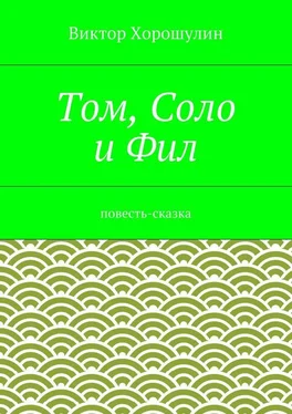 Виктор Хорошулин Том, Соло и Фил. Повесть-сказка обложка книги