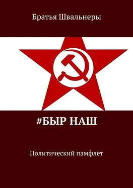 Братья Швальнеры #Быр наш. Политический памфлет обложка книги