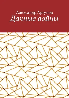 Александр Аргунов Дачные войны обложка книги