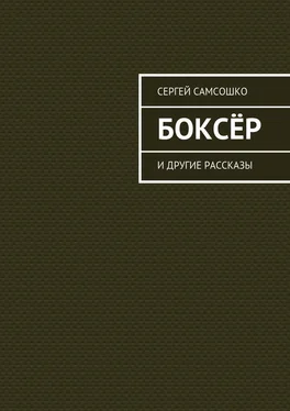 Сергей Самсошко Боксёр. И другие рассказы обложка книги