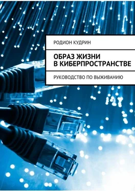 Родион Кудрин Образ жизни в киберпространстве. Руководство по выживанию обложка книги