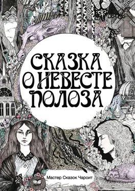 Мастер Сказок Чароит Сказка о невесте Полоза обложка книги