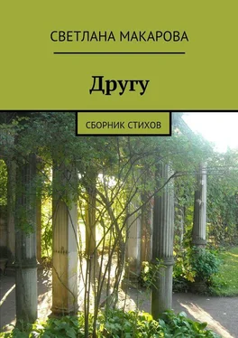 Светлана Макарова Другу. Сборник стихов обложка книги