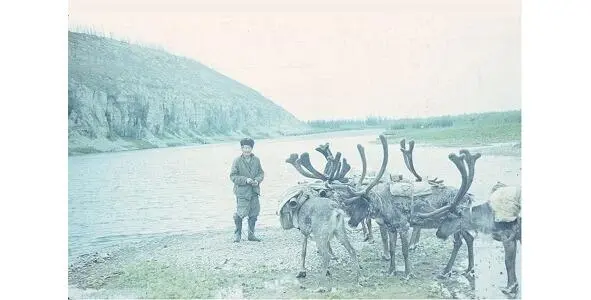 Каюр ушел за оленями Лодку нужно было давай давай скорей но прошло свыше - фото 7