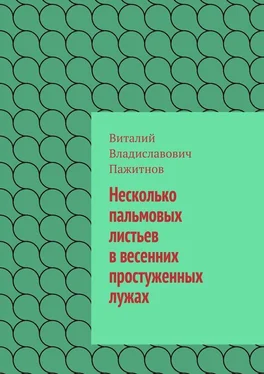 Виталий Пажитнов Несколько пальмовых листьев в весенних простуженных лужах обложка книги