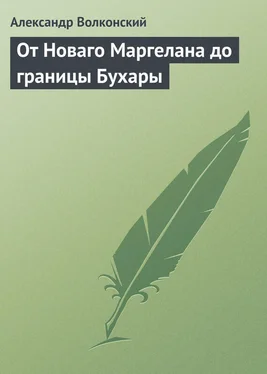 Александр Волконский От Новаго Маргелана до границы Бухары