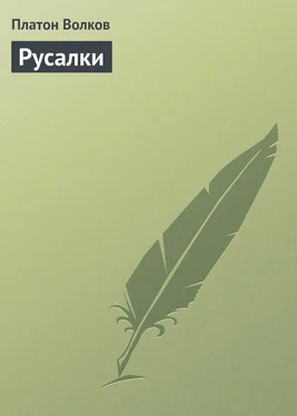 Платон Волков Русалки обложка книги