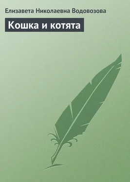 Елизавета Водовозова Кошка и котята обложка книги