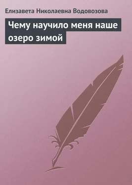 Елизавета Водовозова Чему научило меня наше озеро зимой обложка книги