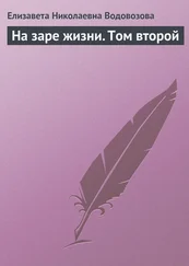 Елизавета Водовозова - На заре жизни. Том второй