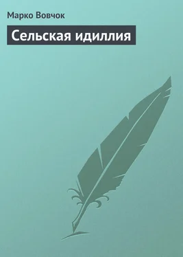 Марко Вовчок Сельская идиллия обложка книги