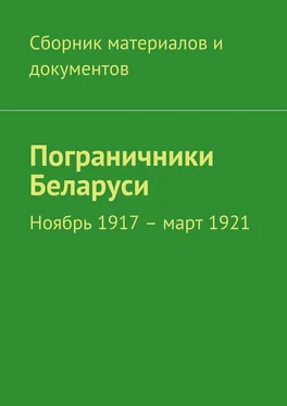 Коллектив авторов Пограничники Беларуси. Ноябрь 1917 – март 1921 обложка книги