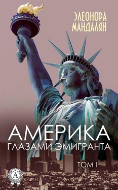 Элеонора Мандалян Америка глазами эмигранта. Том 1 обложка книги