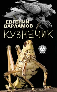 Евгений Варламов Кузнечик обложка книги