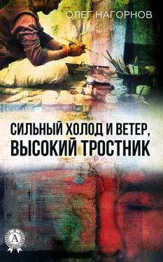 Олег Нагорнов Сильный Холод и Ветер, Высокий Тростник обложка книги