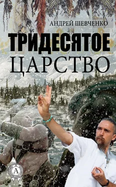 Андрей Шевченко Тридесятое царство обложка книги