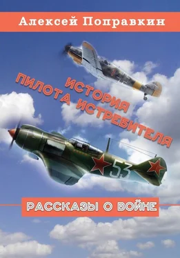 Алексей Поправкин История пилота истребителя (сборник) обложка книги