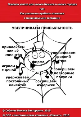 Михаил Соболев Правила успеха для малого бизнеса в малых городах, или Как увеличить прибыль компании с минимальными затратами обложка книги