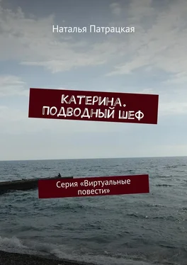 Наталья Патрацкая Катерина. Подводный шеф. Серия «Виртуальные повести» обложка книги