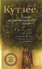 Джон Кутзее - Сцены из провинциальной жизни