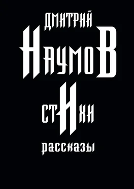 Дмитрий Наумов Стихи и рассказы обложка книги