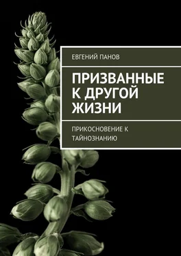 Евгений Панов Призванные к другой жизни. Прикосновение к тайнознанию обложка книги