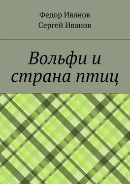 Федор Иванов Вольфи и страна птиц обложка книги