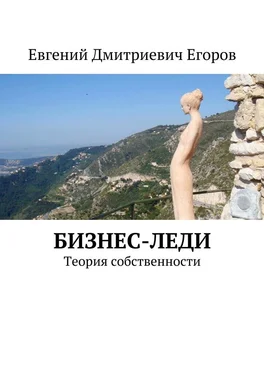 Евгений Егоров Бизнес-леди. Теория собственности обложка книги