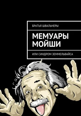 Братья Швальнеры Мемуары Мойши. или Синдром Земмельвайса обложка книги