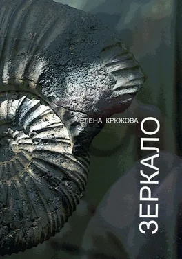 Елена Крюкова Зеркало обложка книги