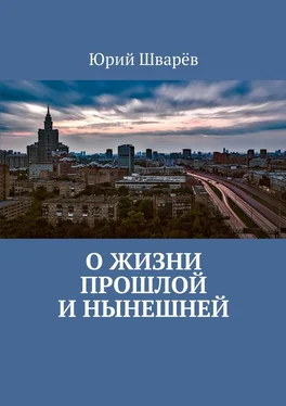 Юрий Шварёв О жизни прошлой и нынешней обложка книги